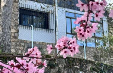 Alcarria , Casa del Agua - Foto 4