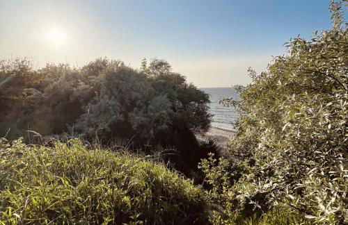 Sonnengelb - Fulgenhaus - Foto 14