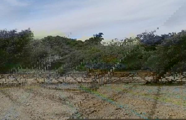 Agriturismo Donna Beatrice - Photo 33