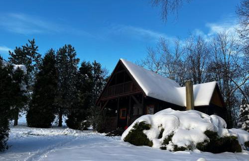 Domek Pod Lasem - Foto 32