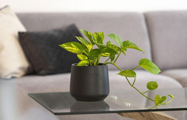 Kanika Seabreeze Apartment - Foto 5