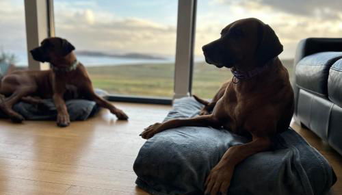 Stac Polly Lodge - Foto 5