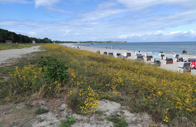 Arresting Apartment near Sea in Klütz - Foto 26