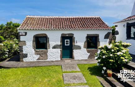 Casa da Serreta by PontaNegraAzores - Photo 57