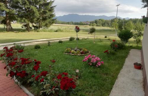 Kuća za odmor Lika - Foto 6