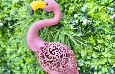 Appartement Rooftop - 5 min Centre ville Strasbourg - Foto 12