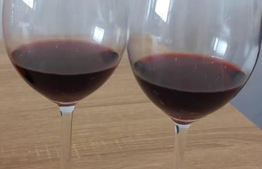 Alto do Sossego - Photo 12