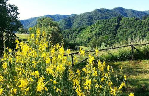 Agriturismo Selvapiana - Foto 55