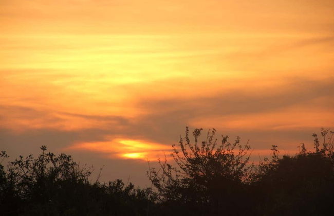 Excursión de 3 días por el Parque Nacional Madidi - Foto 6