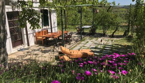 Temenia House - Foto 1, Garden, Garden view