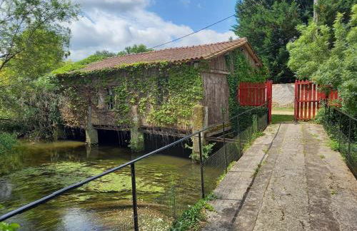 Détente assurée au moulin de papalis - Foto 13