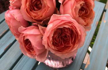 Ferienwohnung mit Charme - Foto 16