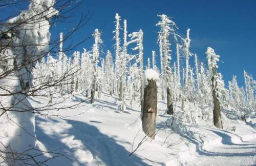 Apartment Gottal by Interhome - Foto 15