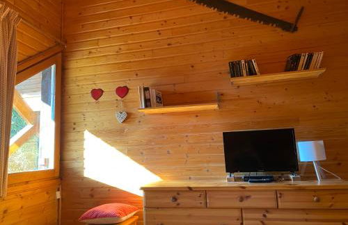 Duplex cosy pour 6 personnes- chalet des Pléiades -, départ skis aux pieds en bordure de piste sans portage - l'autre duplex mitoyen est également à nous - Foto 18