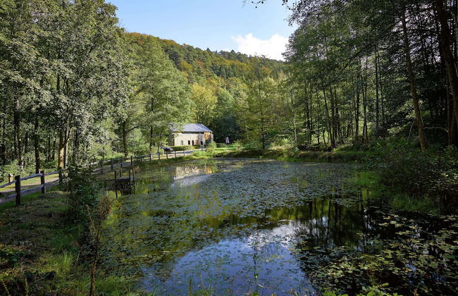 Jalhay Pondside Forest Home - Foto 28