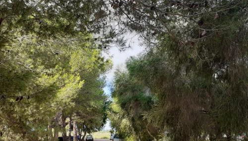 Agriturismo Bellu - Foto 2, Garden