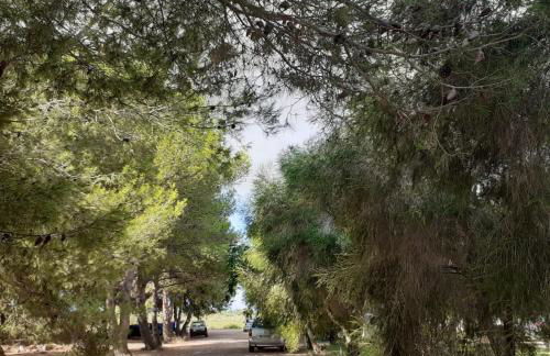 Agriturismo Bellu - Foto 2