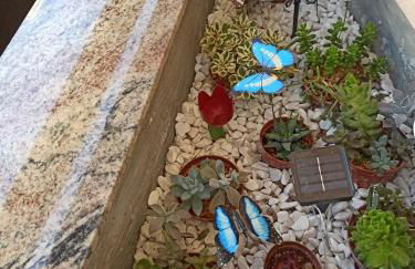 Meraviglie Salentine - Foto 43