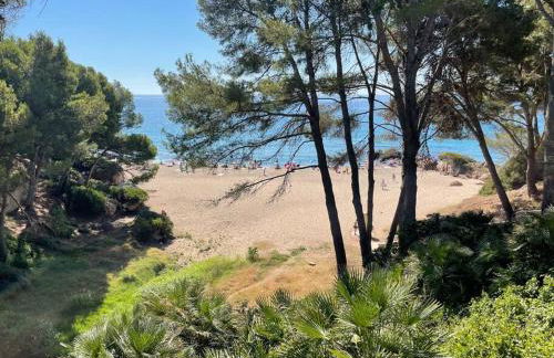 Precioso apto Miami primera linia playa cala de las Sirenas, con WIFI y NETFLIX, adecuado para teletrabajar - Foto 26