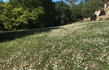 L'Olivier Fleurie Barjols - Foto 40
