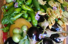 Raffinatissimo Casale in villa storica salentina - Foto 20