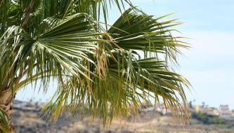 Casa Buena Vista Rojales - Photo 3