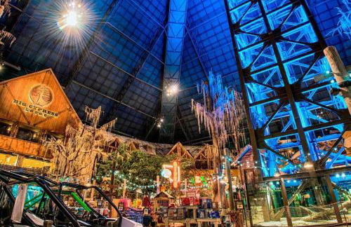 Cozy Delightful Private Studio near Rhodes College, Shuttle, & Vehicle Rental - Foto 42