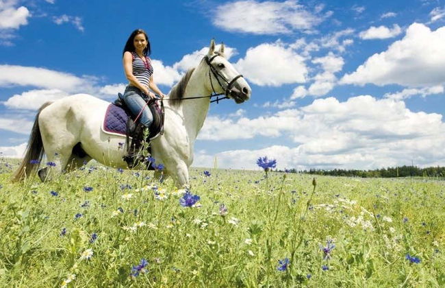 Paseo a caballo por el Chianti - Foto 4