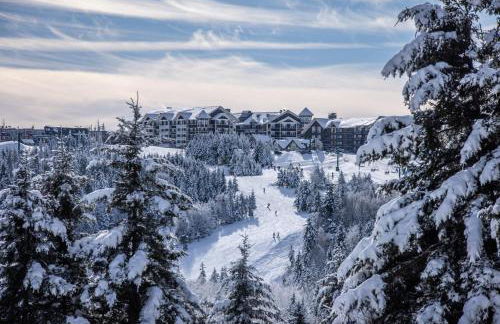 Ski In/Out (In The Village Close To Everything) - Foto 10