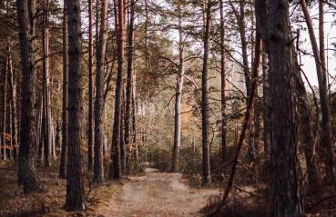 W Południe Lata - Foto 20