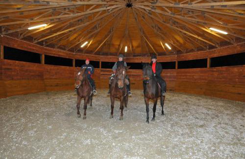 Dwor Trzesniow - Foto 7