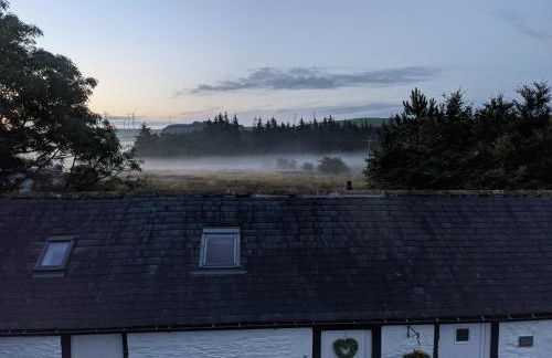 The Stables - Bankshill - Photo 15