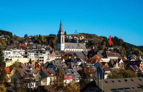 Hochschwarzwald Ferienwohnung - Foto 16