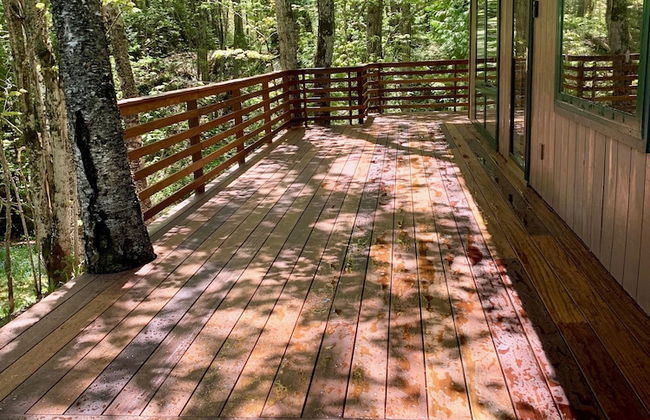 Hauser's Bayfield Cabin - Foto 52