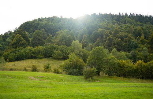 Black Cabin Lokve - Foto 28