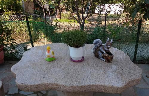 Summer Dream - Foto 7