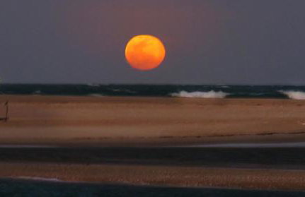 Sítio SPA Céu De Verdade , Praia de Barra Nova , Ceará - Foto 38
