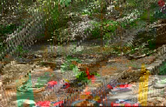 Pousada Pouso das Araras - Foto 70