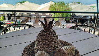 Marilyn's house - Foto 2