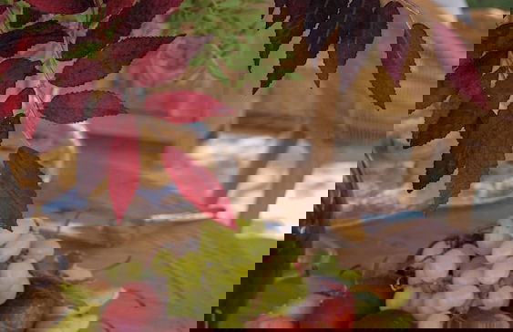 Borgo Bevagna Relais - Foto 32