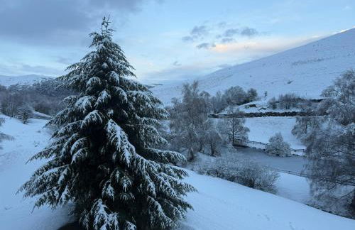 Appartement loudervielle - Foto 8