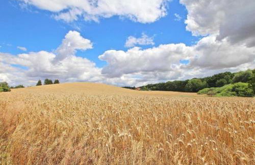 Alter Stall - Photo 26