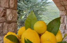 Villa Verde - Foto 15