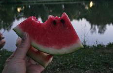 Romantisches Waldhaus mit Privatsauna, Grill und Feuerschtelle - Foto 28