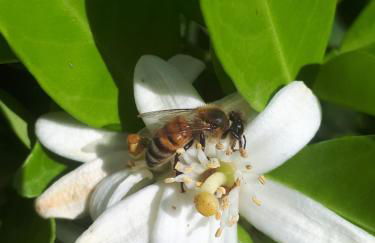 Villa Irini - Cretan Luxury Villa with Amazing View - Foto 46