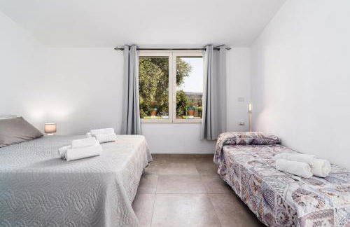 Domo Bonaeras - Foto 15