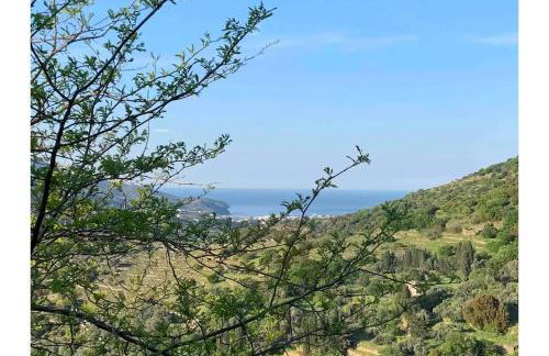 Olive Guesthouse Junior - Foto 19