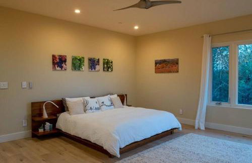 Modern Wine Country Home on 10 acres with vineyard - Foto 9