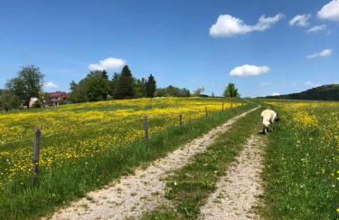 Pfaffensteghof - Foto 29
