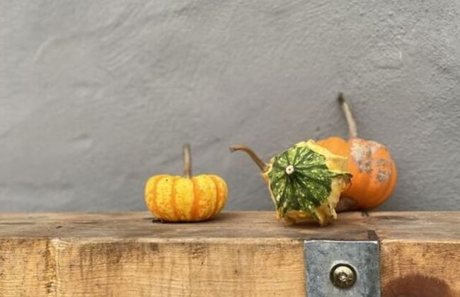 Holidays in Happiness - Foto 23